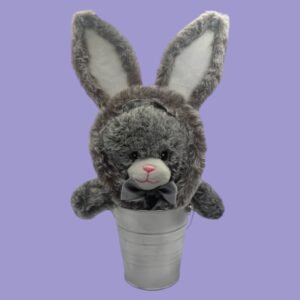 Bunny in bucket with ears